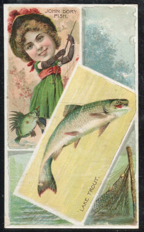 John Dory Fish, Lake Trout